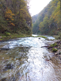 photo 1814790