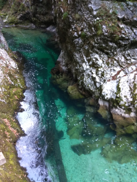 photo 1814791