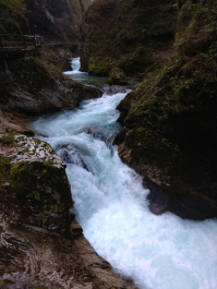 photo 1814794