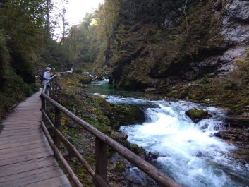 photo 1814796