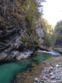 photo 1814798
