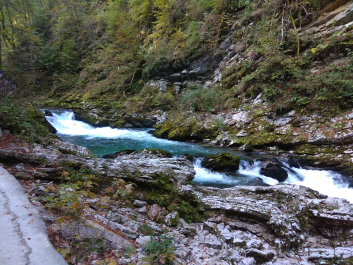 photo 1814799