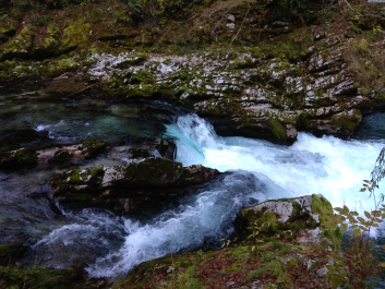 photo 1814801