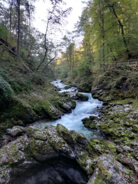 photo 1814803