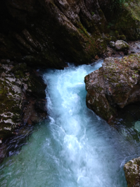 photo 1814804