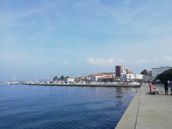 photo 1814823