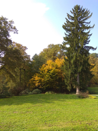 photo 1814828