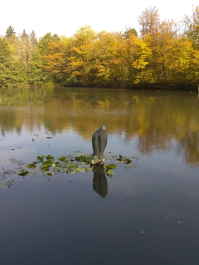 photo 1814830