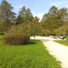 photo 1814831