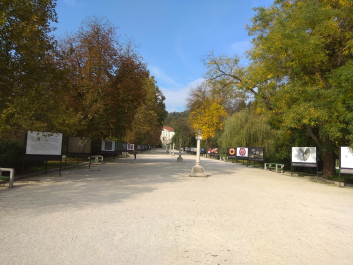photo 1814832
