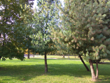 photo 1814834