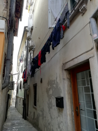 photo 1814839