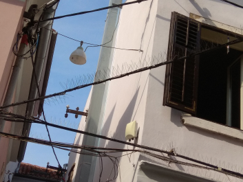 photo 1814845