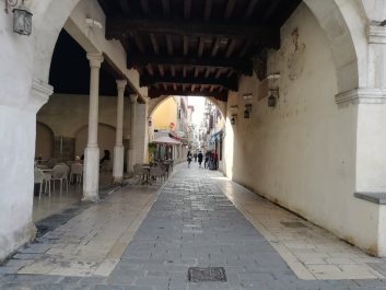 photo 1814849