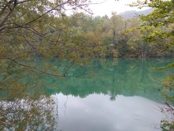 photo 1814854