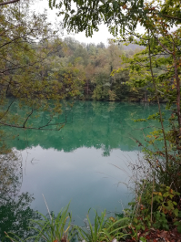 photo 1814855