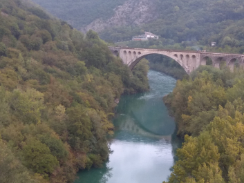 photo 1814868