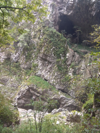 photo 1814873