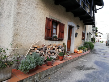 photo 1814883