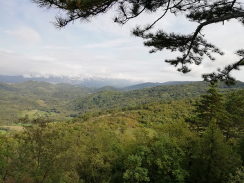 photo 1814884