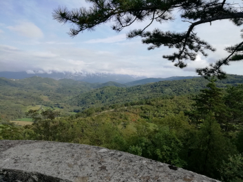 photo 1814885