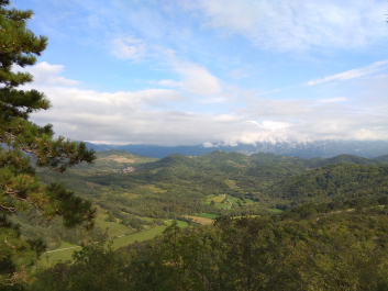 photo 1814886