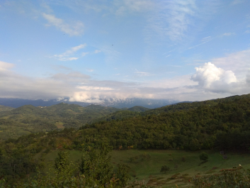 photo 1814888