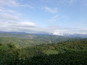 photo 1814889