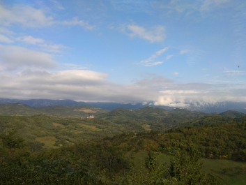 photo 1814890