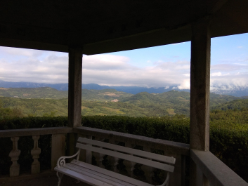 photo 1814891