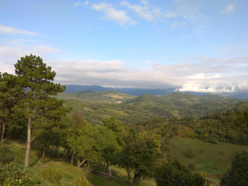 photo 1814894