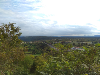 photo 1814902