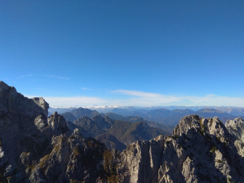 photo 1814931