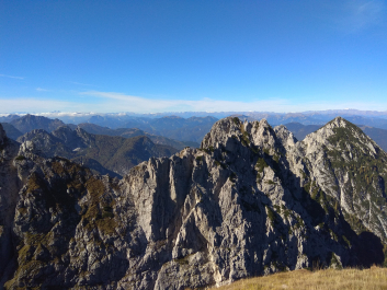 photo 1814938