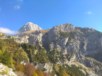 photo 1814954