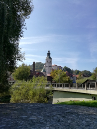 photo 1814958
