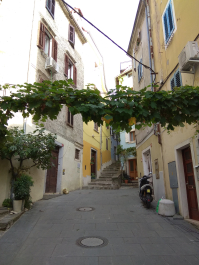 photo 1814968