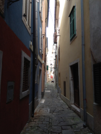 photo 1814971