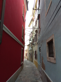 photo 1814973