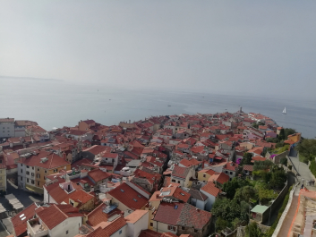 photo 1814979