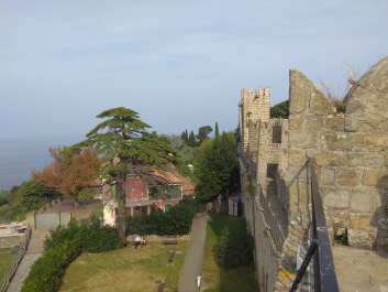 photo 1814987