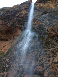 photo 1814995