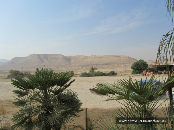 photo 293073