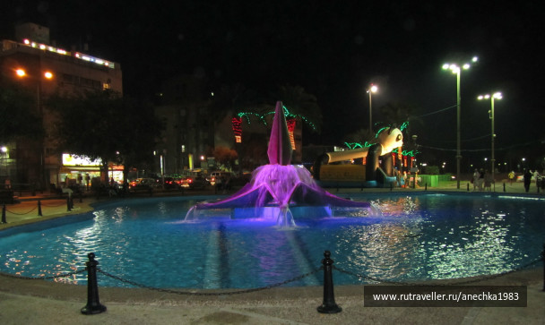 photo 293083