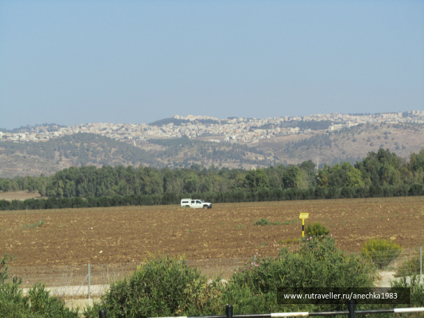 photo 293095