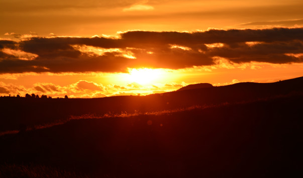 DSC_0332