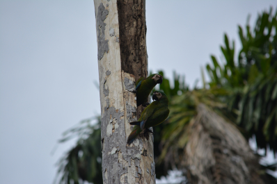 photo 1202630