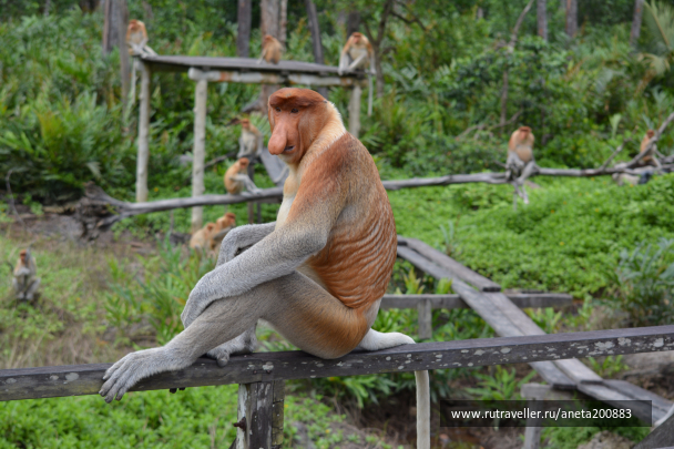 photo 1472585