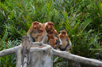 photo 1472588