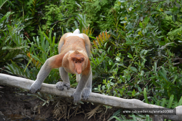 photo 1472589